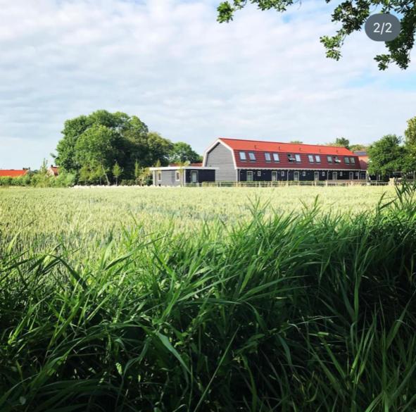 Vakantiewoningen De Schelp Ренесе Екстериор снимка