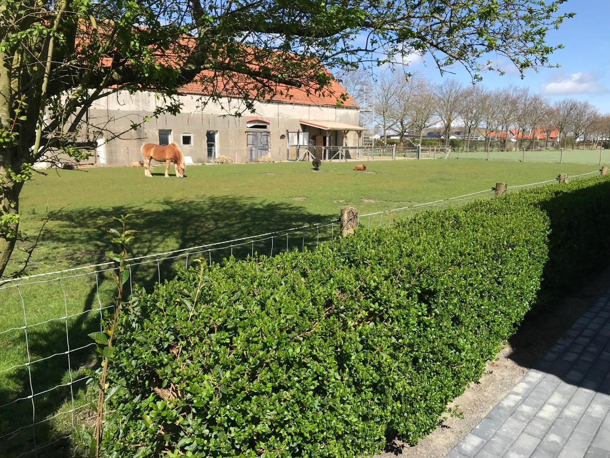 Vakantiewoningen De Schelp Ренесе Екстериор снимка
